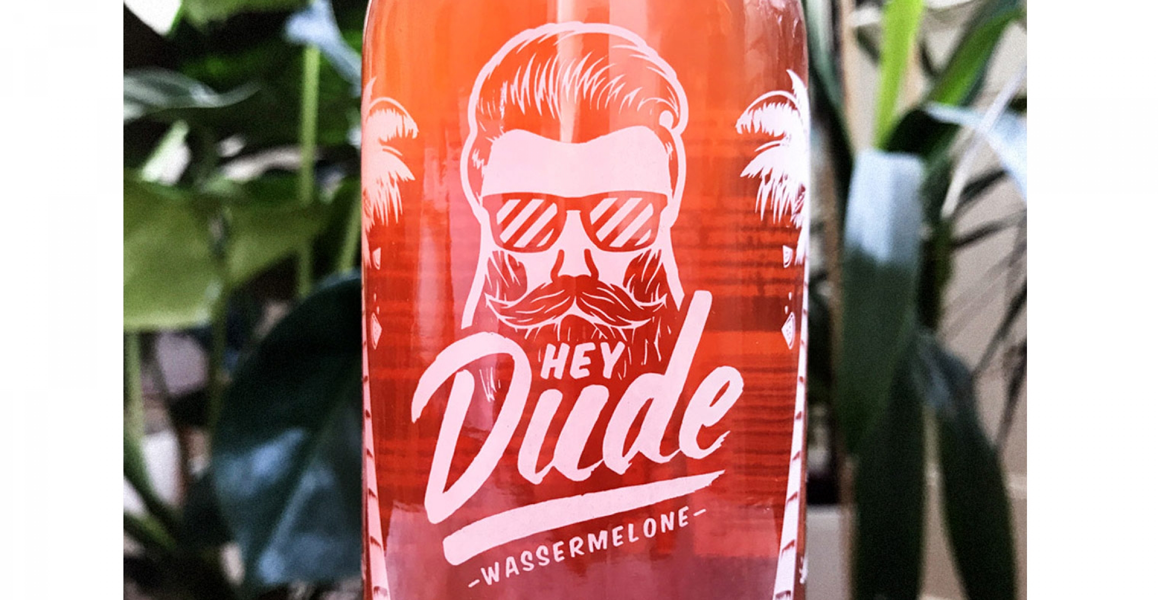 Netzwerk 11 | Hey Dude